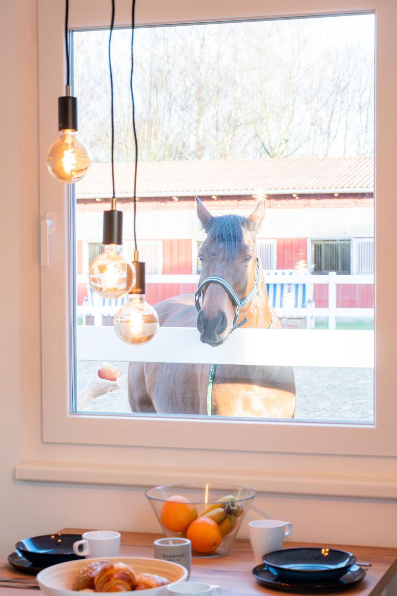 Ferienwohnungen Reiterhof Boltenhagen Exteriör bild